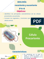 Clase 8°a-B Biología