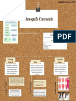 Mapa Conceptual