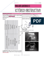 15 - Síndrome Ictérico Obstructivo