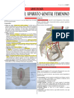 Anatomía del aparato genital femenino