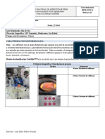 BITACORA 11 BMWP Micro Y Macro Biologica