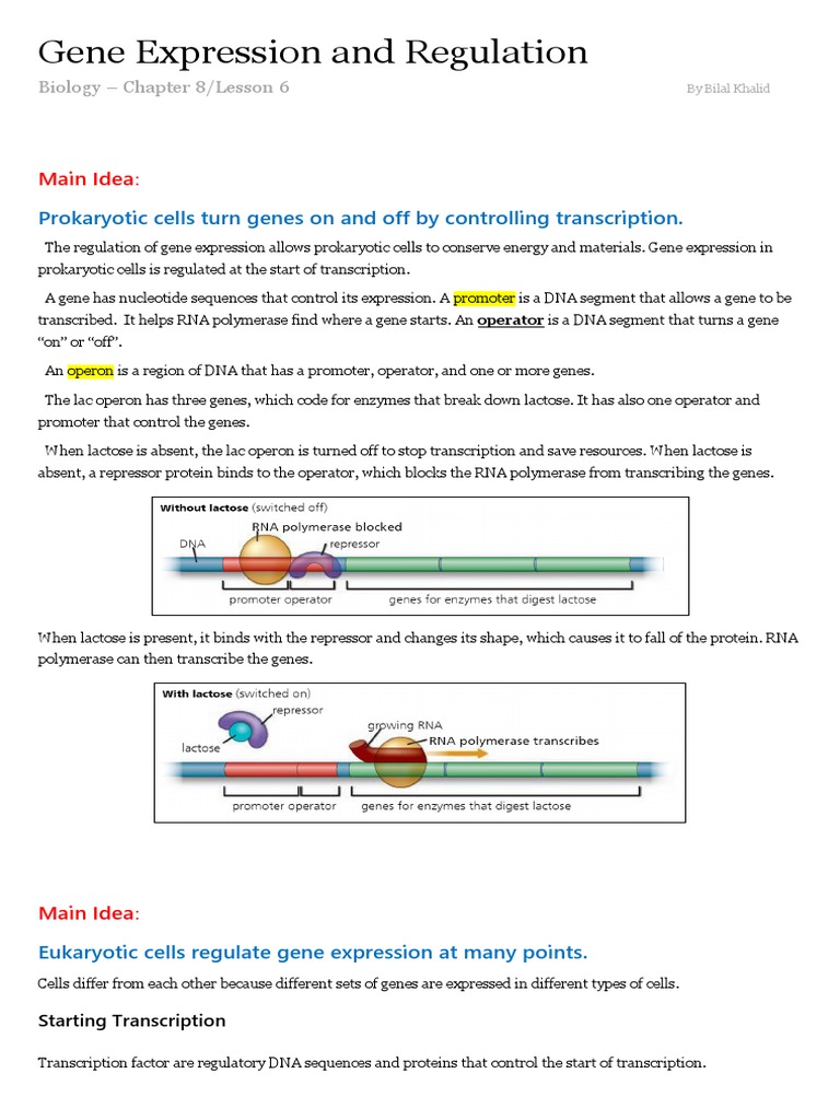 Gene Expression and Regulation Overview | PDF