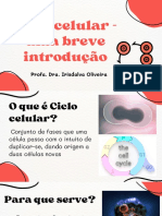 Ciclo celular - breve introdução