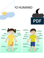 Cuerpo Humano