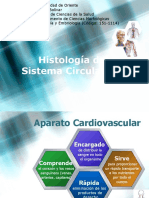 Histologia Del Sistema Cardivascular