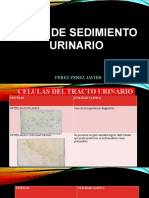 Atlas Del Sedimiento Urinario (Autoguardado)