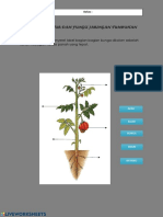 LKPD Struktur Dan Fungsi Jaringan Tumbuhan