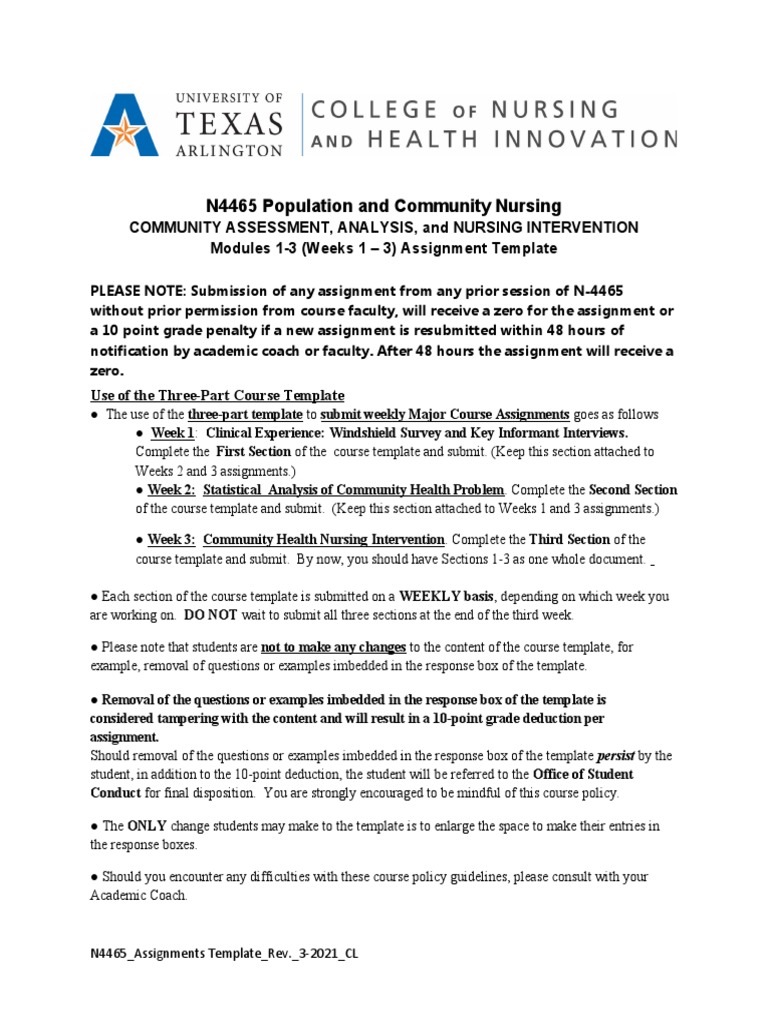 Weeks 13 Windshield Assessment Template PDF Medical Diagnosis