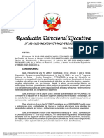 Resolución Directoral Ejecutiva que aprueba Beca Especial