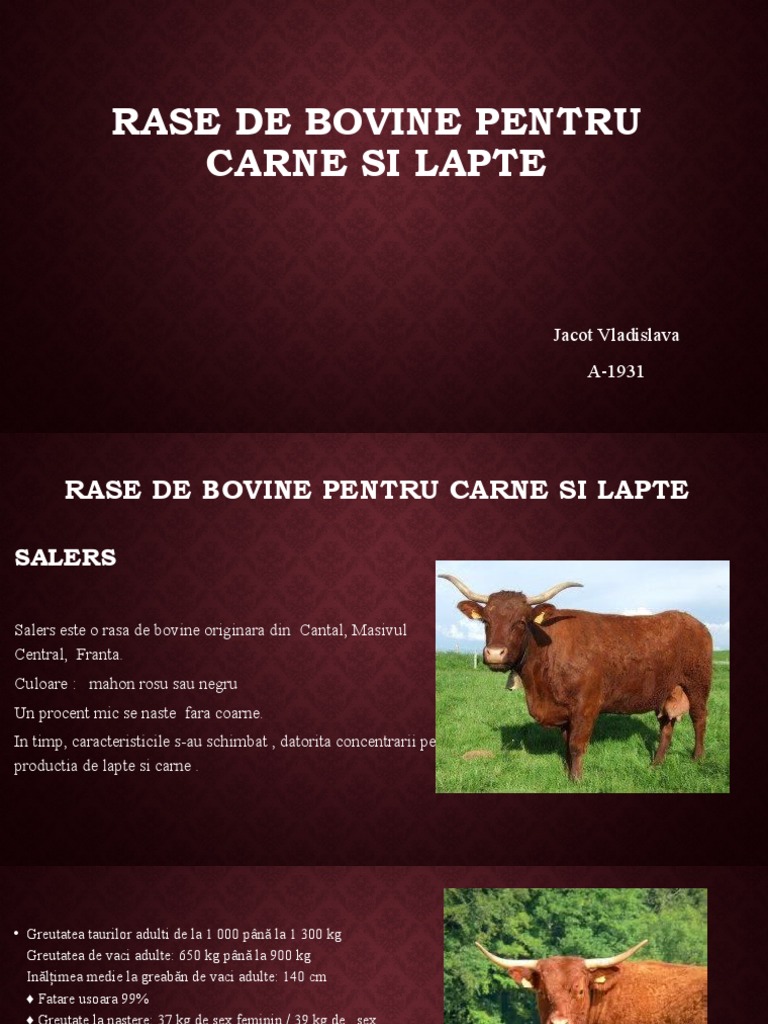 Rase de Bovine | PDF