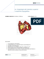 TP Angiologia Ms. Di Meglio Fiorella 30315