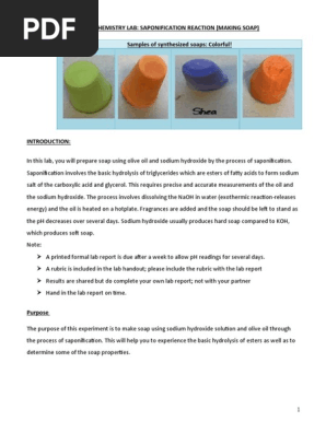 Lab Report