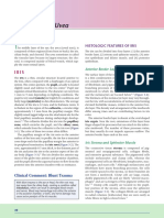 Chapter 3 - Uvea - 2012 - Clinical Anatomy and Physiology of The Visual System