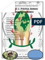 Medio Ambiente Informe 2