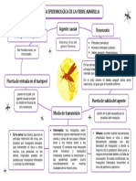 Cadena Epidemiológica (FA)