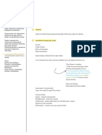 Endodoncia Notas Estudio