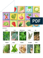 Clasificacion de Las Plantas