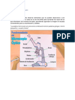 Manual de Instrumentación