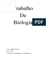 Comparação entre gimnospermas e angiospermas