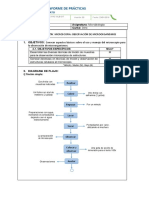 Pre Informe