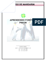 CURSO DE MANDARIM PINYIN