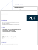 Ficha de Diagnose Intelectual, Modelo 2