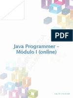 Temp - Java Programmer - Modulo I (Online) PDF