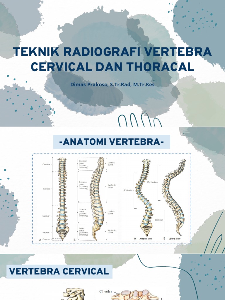 Teknik Radiografi Vertebra Cervical-Thoracal | PDF