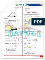 P2 - R - T - Angulos Agudos - 2022 - Iii