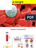 Hemopoyesis B12 Ácido Fólico Fisio 2018