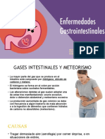 Dietoterapia I: Gases intestinales, meteorismo, diarrea y más