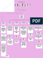 Mapa Conceptual Patologia