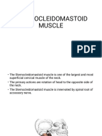 Sternocleidomastiod Muscle