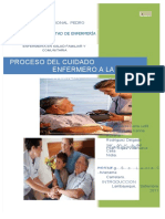 PDF Proceso Del Cuidado Enfermero A La Familia Facultad de Enfermeria