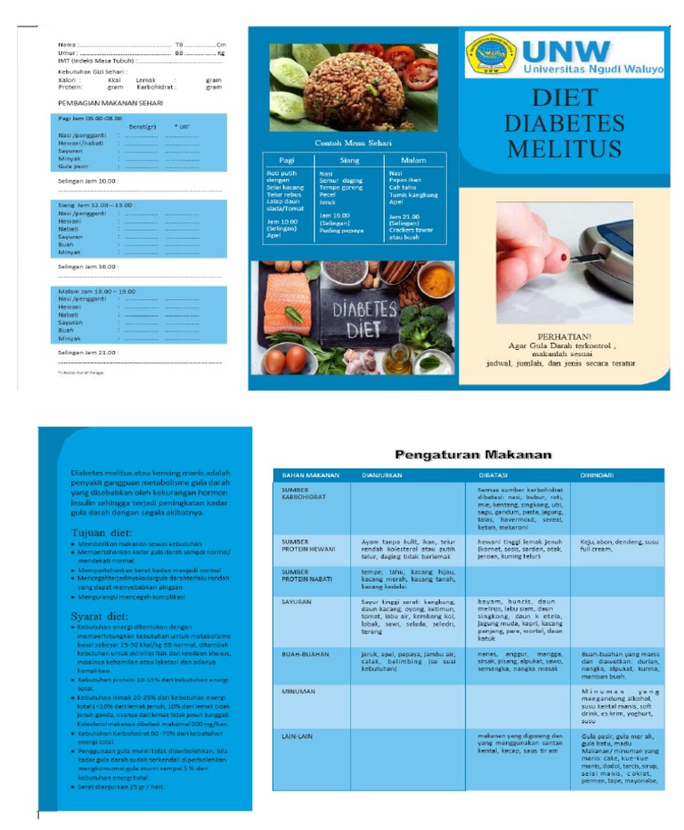 Leaflet diet dm pdf