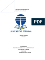 Laporan Praktikum Ipa SD