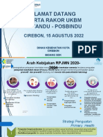 STRATA Posyandu Aktif 2022