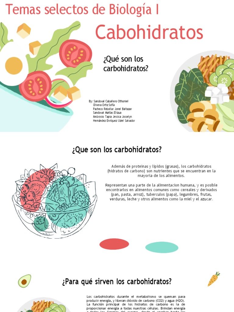 Carbohidratos Definición Funciones Y Clasificación Pdf