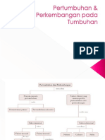 Pertumbuhan Perkembangan Pada Tumbuhan