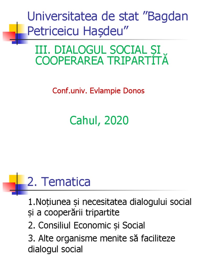 III Dialogul Social | PDF