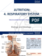 Unit 3. Respiratory System