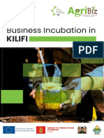 Business Incubation in KILIFI (40 characters