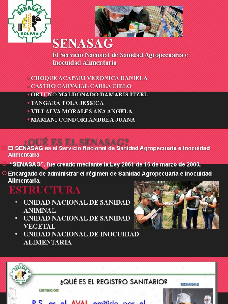 Senasag Presentación | PDF | Alimentos | Economias
