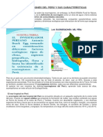 Las Ecorregiones Del Perú y Sus Características