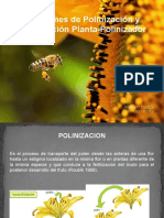 Síndromes de Polinización y Coevolución Planta-Polinizador