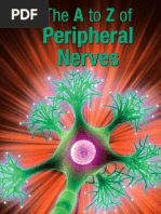 The A to Z of Peripheral Nerves