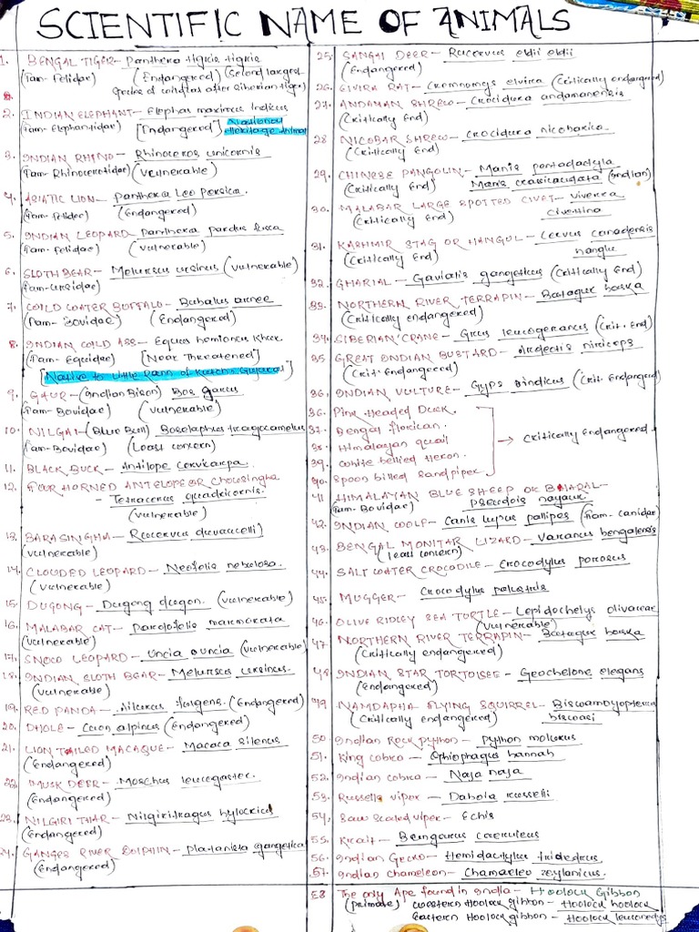 Scientific Name of Animals | PDF