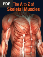 The A To Z of Skeletal Muscles