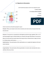 Science (Digestion) Notes/Activity