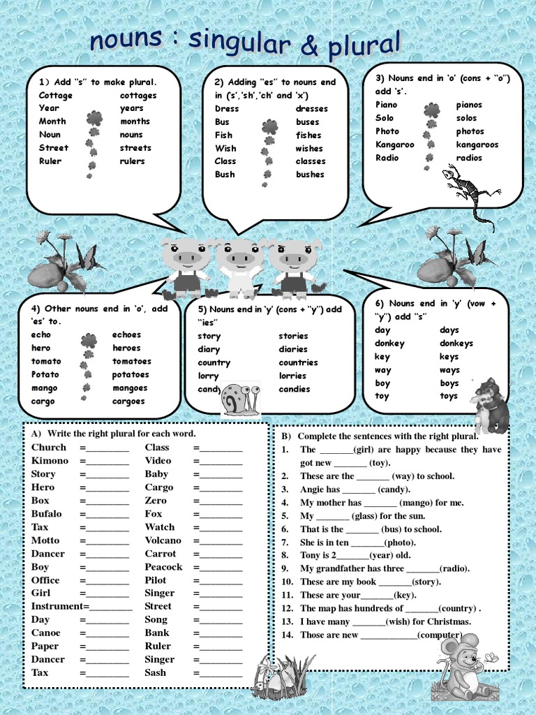 Nouns Singular and Plural Grammar Guides Picture Dictionaries 38791 PDF Noun Cognitive Science